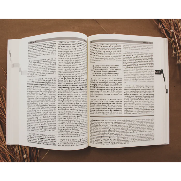 An Exhaustive Ellen G. White Commentary Set on Daniel and Revelation by OA Publishing - Image 3