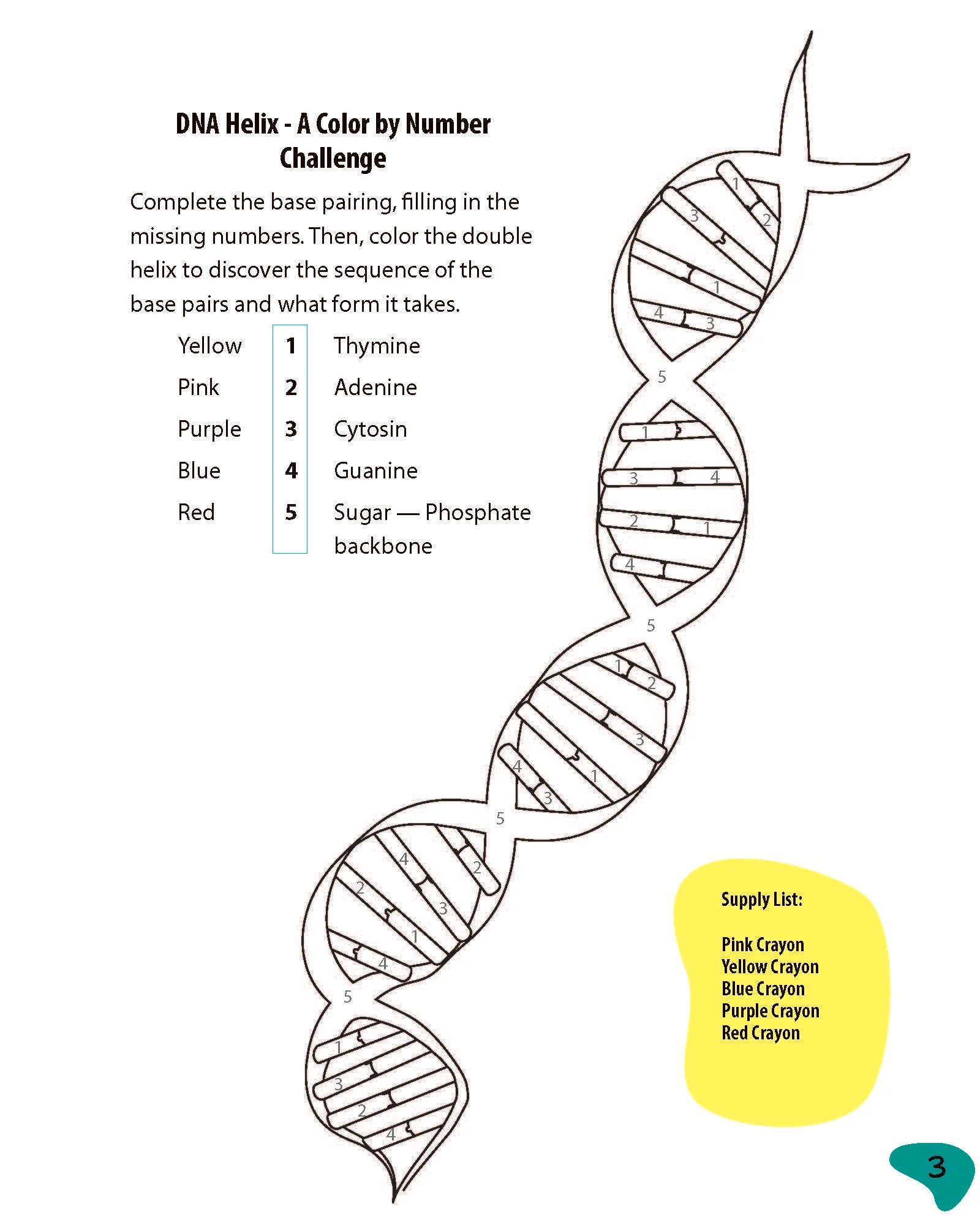 DNA, God & You! with Dr. Jennifer Rivera - Image 4