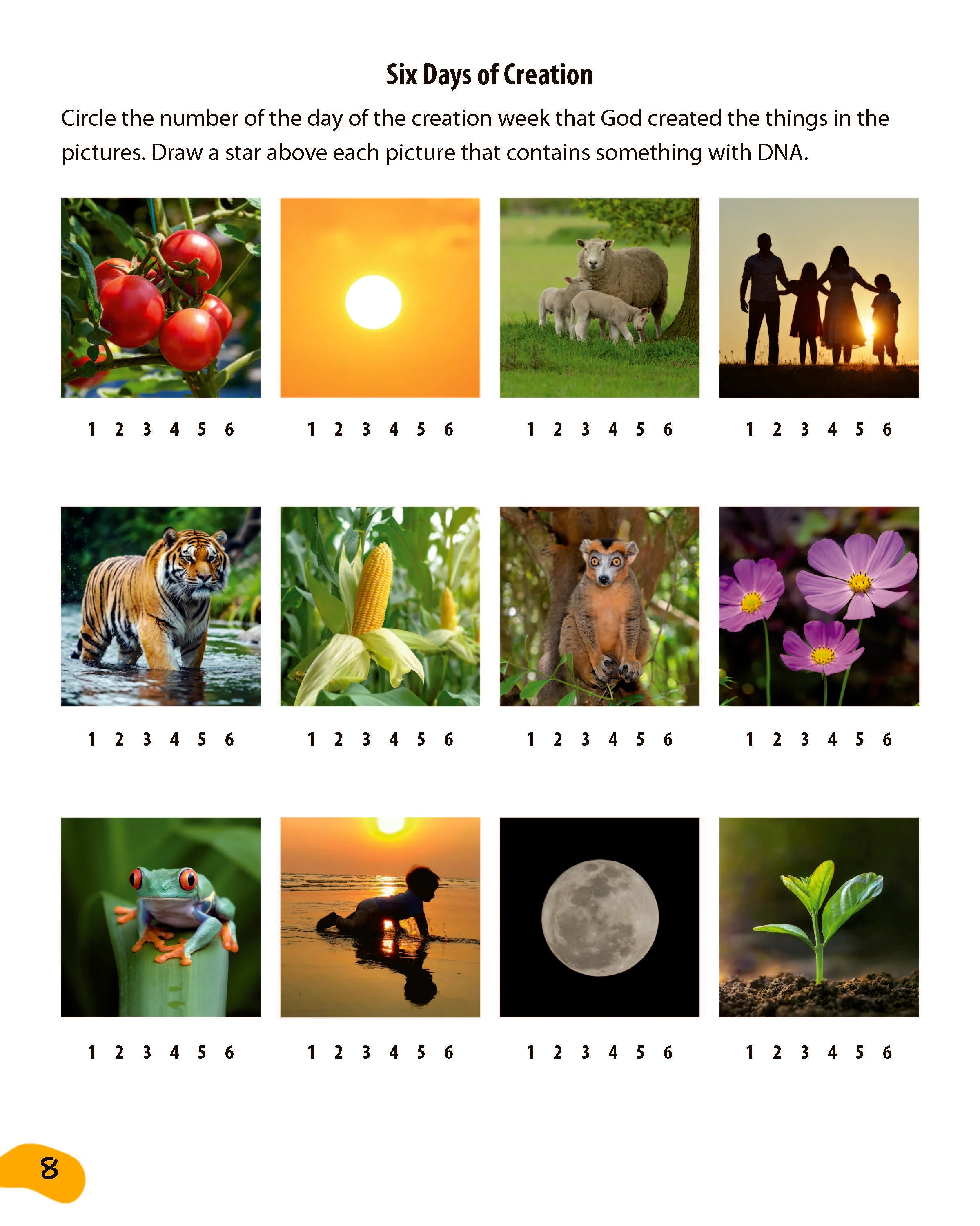 DNA, God & You! with Dr. Jennifer Rivera - Image 9