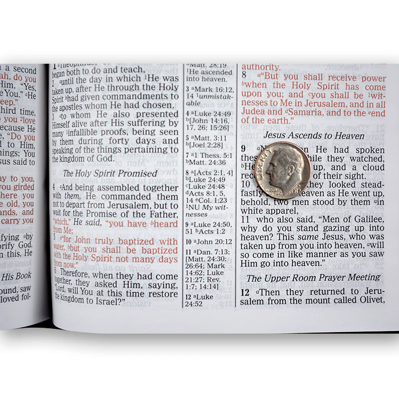 NKJV Prophecy Study Bible (Hot Pink Leathersoft) by Amazing Facts - Image 4
