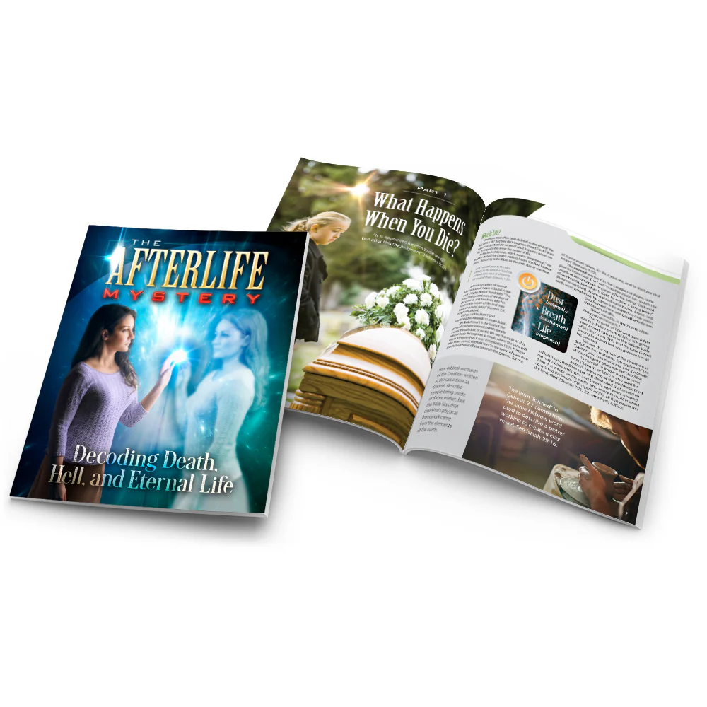 The Afterlife Mystery - Image 2