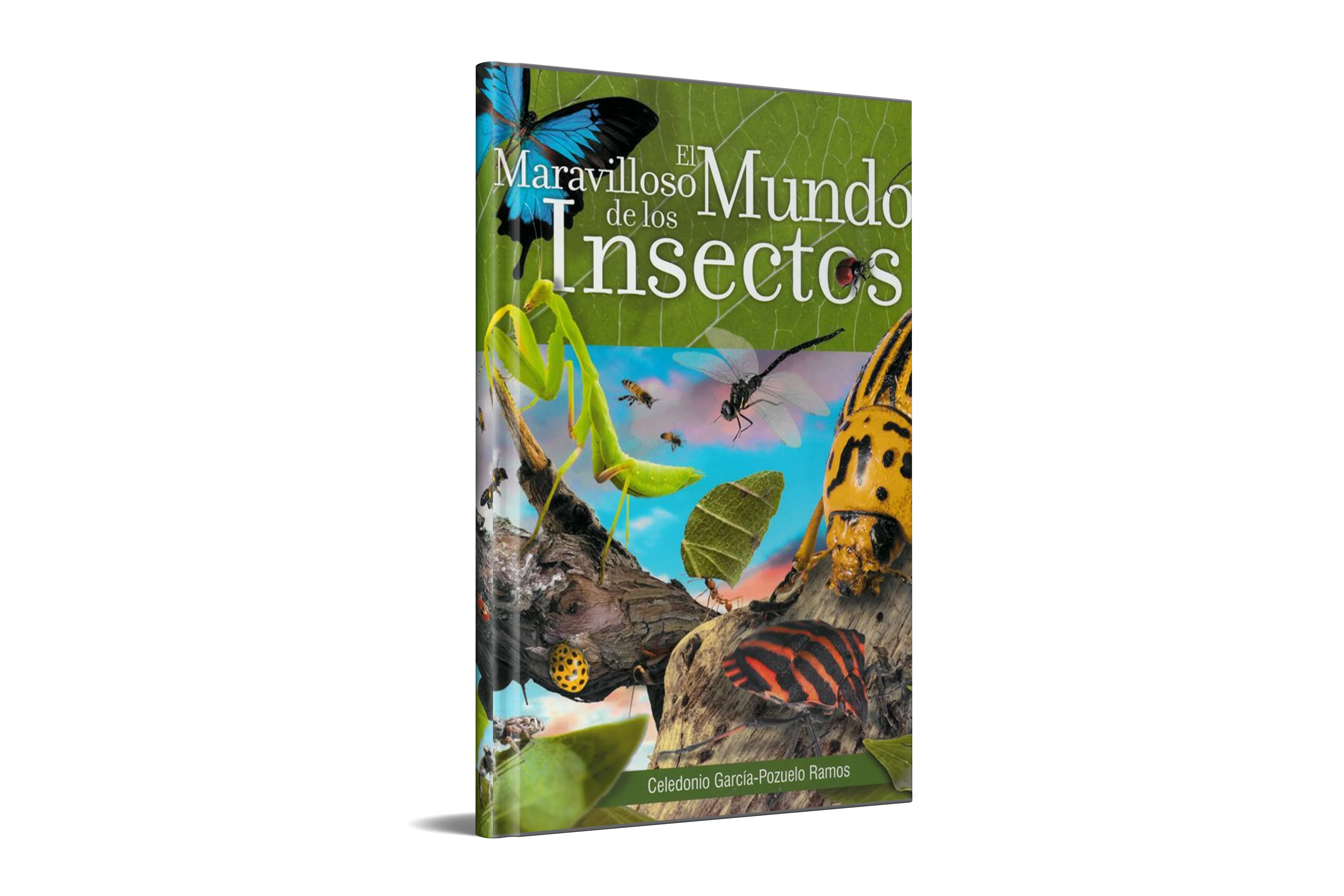 El Maravilloso Mundo de los Insectos (Español) by Safeliz - Image 2