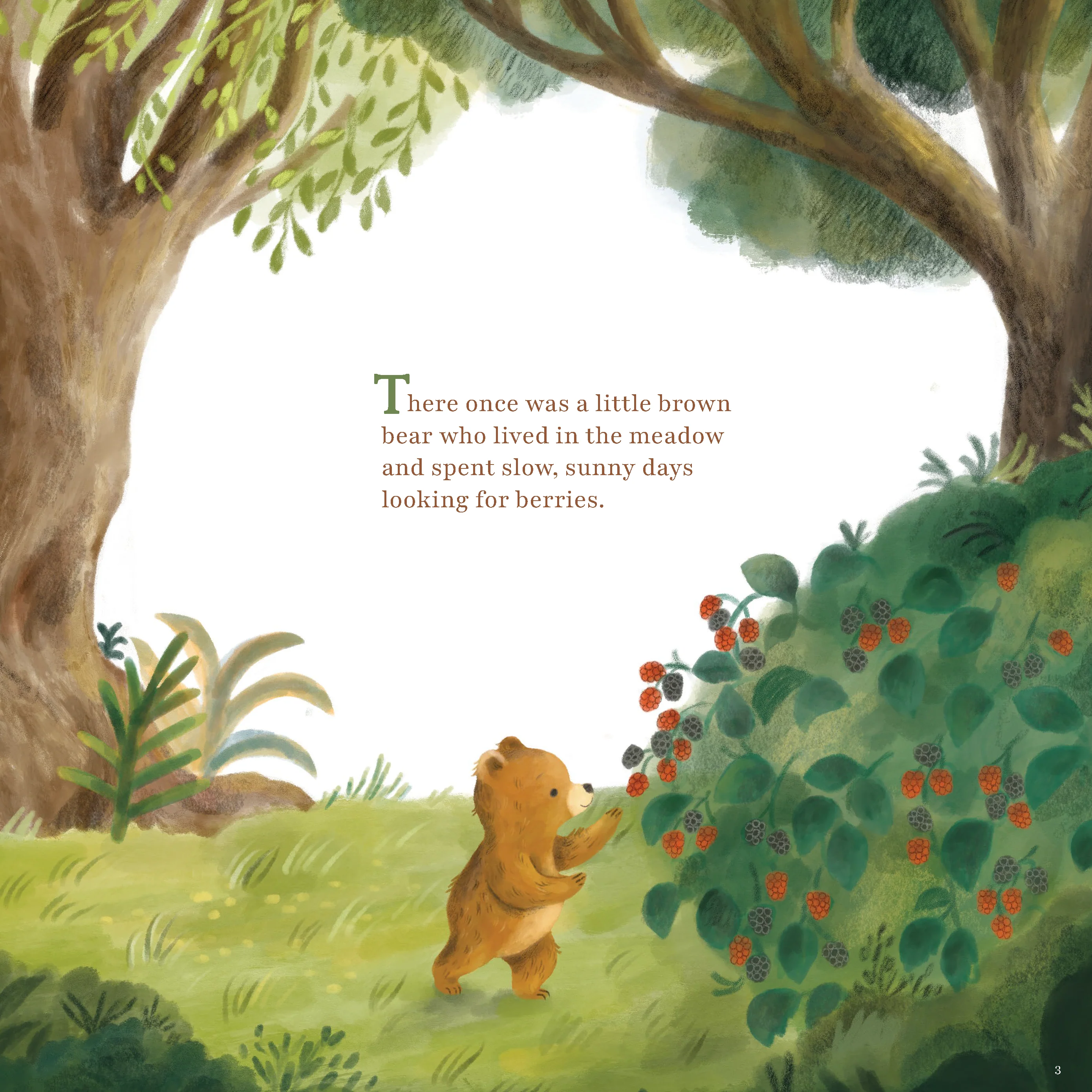 The Maker of the Mountain: A Story About What God Is Like - Image 4