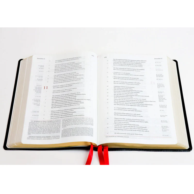 The NKJV Messenger EGW Study Bible - Sapphire Silver (Blue) - Image 3